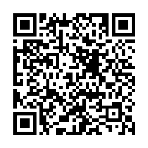 你应该是在战斗和炼器双重领域都达到登峰造极境界的二维码生成