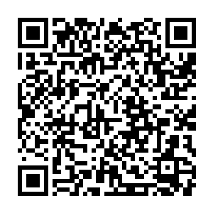 你弟弟这些年是靠着圣主的功法和你娘亲的血不断稀释才能活下来的二维码生成