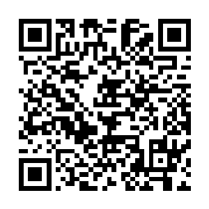 你当真以为……我何飞燕的力量…咳咳……是这么好吞噬的二维码生成