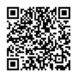 你当着他的面说太子是不是关你屁事……你就不怕皇后动怒吗二维码生成