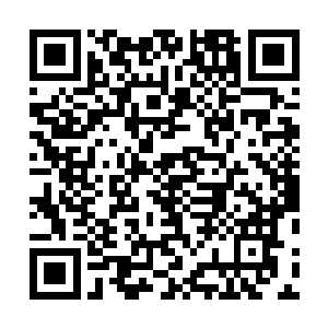 你忘了上次弄个什么破战阵把我搞得狼狈不堪的就是他吗二维码生成