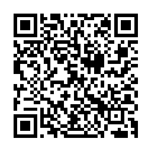 你想不想看看你的父母长什么样子--我是说他们在地球的样子二维码生成