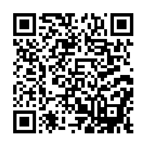 你想用做任务的方式赚到那些珍稀材料根本是白日做梦了二维码生成