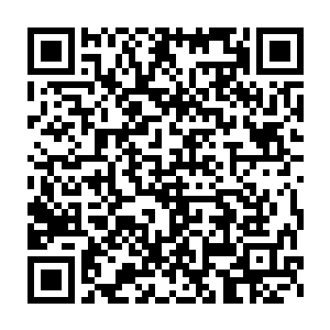 你所在的凤凰殿只是上古凤族七十二宫之一凤鸣宫的一个弟子殿而已二维码生成
