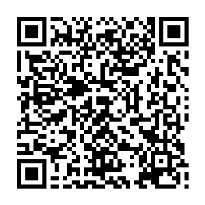 你才是我堂堂正正迎娶的妻子――你怎么知道他们俩人的离开是为了这件事情二维码生成