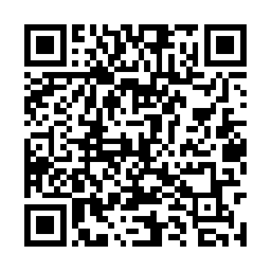你把我的戒指戴在中指上是表示和我正在热恋之中二维码生成