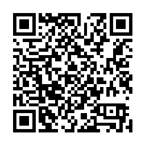 你故意把海登的项链藏在他的牛仔裤里然后叫我去帮忙收拾二维码生成