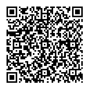 你料定了我什么都沒有拿到 所以也什么都沒有办法拿出來 眼下你装好人 我可以理解为做了二维码生成