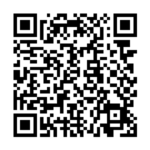 你昨天晚上也没有来找我们你们俩不会是去酒店开房了吧二维码生成