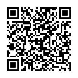 你是个怪物……怎么还没完啊……我投降了成不成……二维码生成