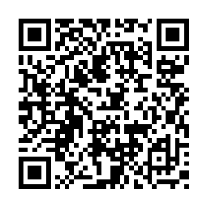 你是否已经决定继续在法体双修的道路上走下去二维码生成