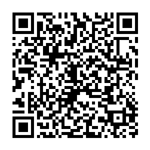 你是想我们部落的人都被他们抓去当冬天储备粮和给他们生野崽子二维码生成