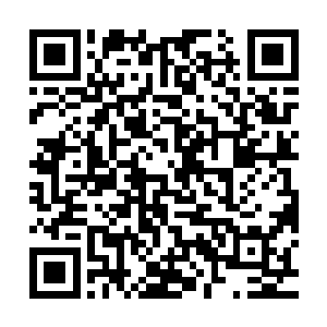 你是早就料到了那白莲教的右护法会在你回京的半路上截杀你了二维码生成