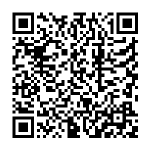 你是没见此人……若不是他化成无双公子的模样将我表妹吕惜文骗出府来二维码生成