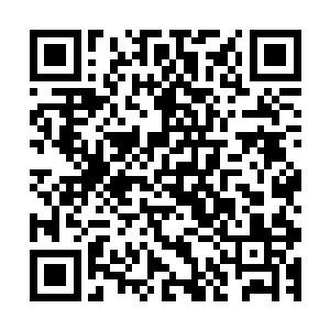 你是炼气期第我们就派一个炼气期第九层修为的人和你上擂台二维码生成