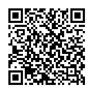你是说在这里……仙界中凡是修为达到了天尊后期巅峰的修士二维码生成
