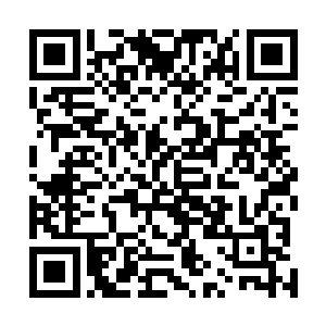 你是说如今六大家族都在对城主府派出去的修士采取行动二维码生成