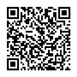 你暂时负责收集他们在古董展览准备展出的珍宝名单二维码生成