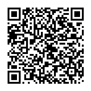 你有多少政治地位和你口袋里的钱是成正比的并不是因为你的肤色二维码生成