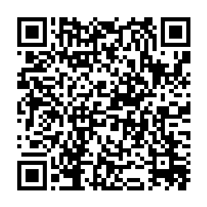 你本来也没有尽过什么宠物的义务吧……现在只是变本加厉了而已啊二维码生成