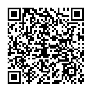 你根本不知道这里发生了什么……你的行为……只会把莱斯特害死而已二维码生成