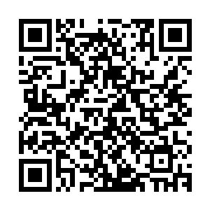 你毛小鹏完全可以光明正大的在碰头会上提出你自己的理由意见二维码生成