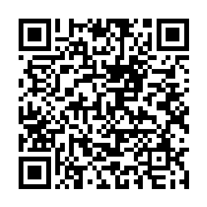 你永远不会明白拥有道和法会是一种怎么样的蜕变二维码生成