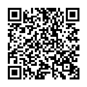 你沈青表哥从小在凤梧县老家的时候就跟着为父读书习字二维码生成