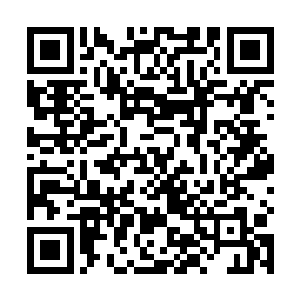 你没发现我们离开的路和之前来的时候不是同一条路吗二维码生成