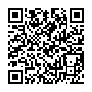 你炼制的符印这些日子已经在仙灵城造成了不小的轰动二维码生成