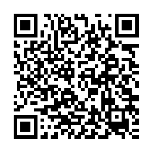 你现在仗着自己比别人打猎厉害些就不把我和族长放在眼里了吗二维码生成
