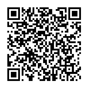 你现在修真之后经过混沌筑基丹的改造你的体内已经基本上没有杂质了二维码生成
