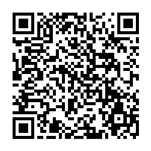 你现在做的可是修房子做工程的大事……咋还能跟着这么一群穷逼土鳖厮混二维码生成