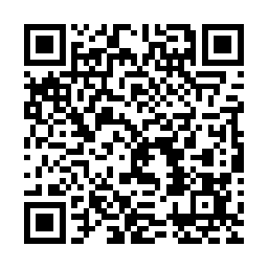 你现在可是机甲研制计划跟虚拟指挥系统两项技术的关键人物二维码生成