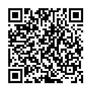 你现在可能是将所有的属性值都添加到悟性和根骨上了吧二维码生成