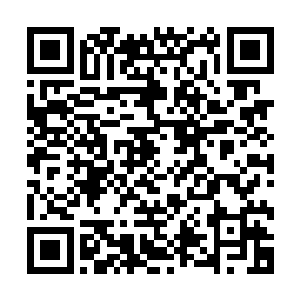 你现在立即去聚宝城分部把所有能够调用的元晶全都给我弄来二维码生成