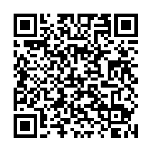 你用得着为这样一个没用的男人死心塌地甚至不惜去死二维码生成