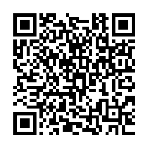 你的任务是继续游走在其余三大选帝侯家族的商业利益集团之间二维码生成