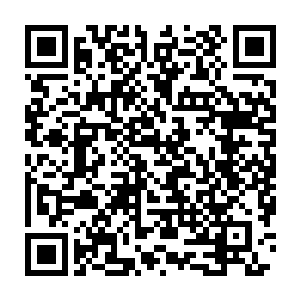 你的位置不是在东荒师傅的范畴之内……而是在青鸾仙子的范畴之内二维码生成