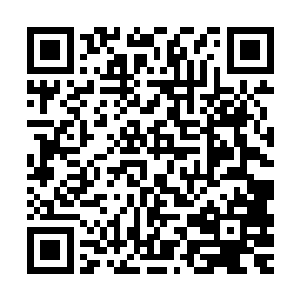 你的做法分明就是想要为你的家族子弟先开路……你个老不死的二维码生成