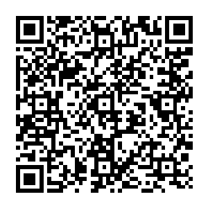 你的力量跟技巧都很不错 只要经过系统训练一下 有可能可以打一些低层次的比赛哦 二维码生成