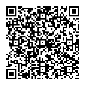 你的學籍资料都是伪造的吧你之前真的是在南云省昌河市第九中學念高二的么四门功课没一门是及格的二维码生成