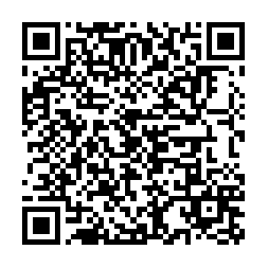 你的工资跟你在洛氏每年的分红可以用来给你自己养家糊口过日子二维码生成