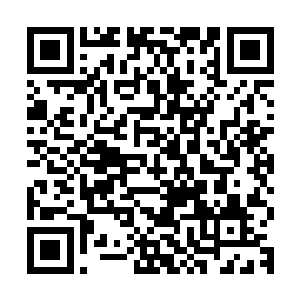 你的性命连同你们安道家族上下所有人的性命和家族的财富相比二维码生成