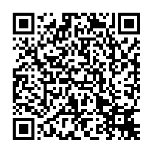 你的意思是你们龙神感应到了一些龙族的气息所以才让你来寻找的二维码生成