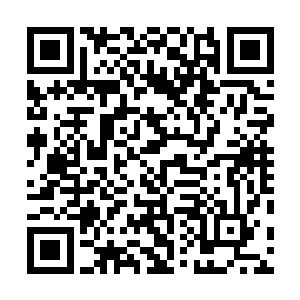 你的意思是说我二阶武宗的实力不一定可以赢你一阶武师二维码生成