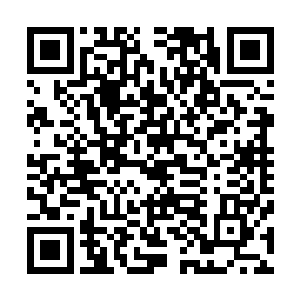 你的意思是说我们独角兽佣兵团会一直跟着你们一个小小的二维码生成