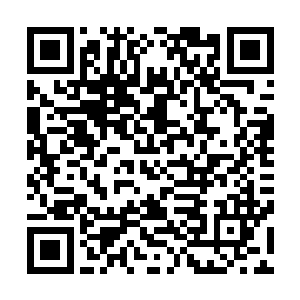 你的手怎么和我刚才抱过的小媳妇儿的小手长得一模一样啊二维码生成