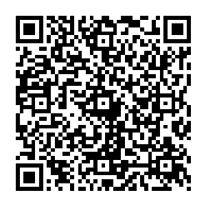 你的爷爷奶奶和一些对我们碧家忠心耿耿的护卫为了掩护我和一批碧家的血脉逃离这里二维码生成