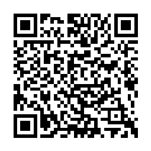 你的特殊情况决定了你如果到昌州担任市委书记二维码生成